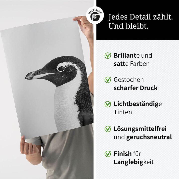 Poster: Tierporträt Pinguin "Marble" in Schwarz-Weiß