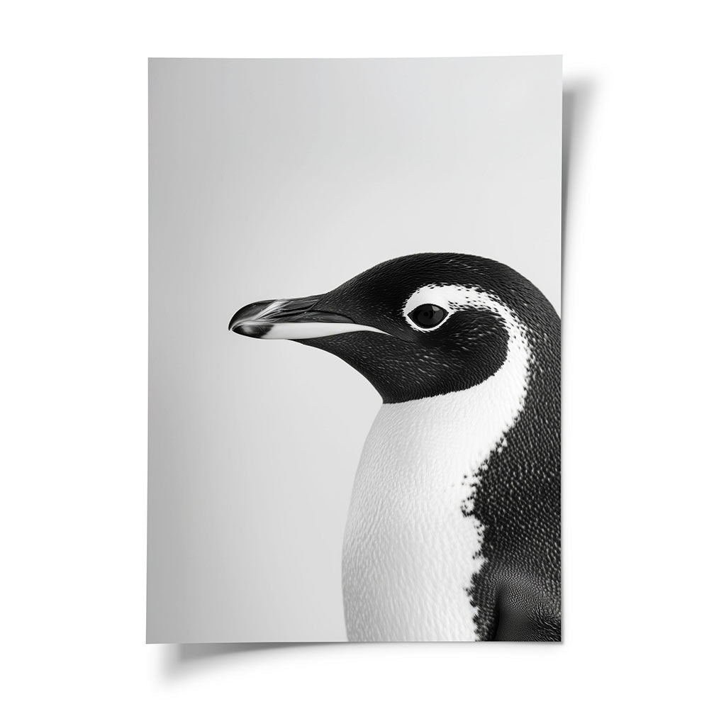 Poster Tierbild Pinguin Schwarz Weiß