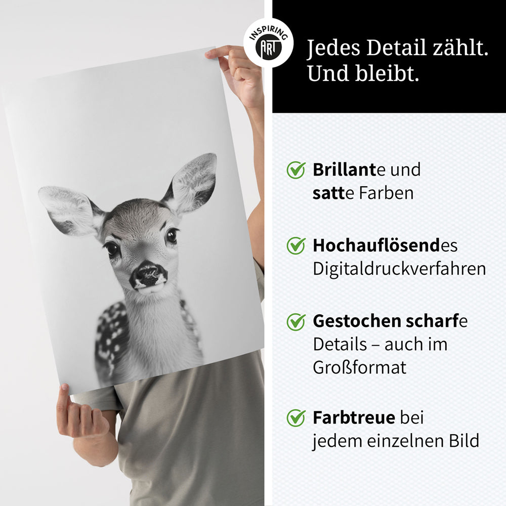 Poster: Tierporträt Reh "Hazel" in Schwarz-Weiß
