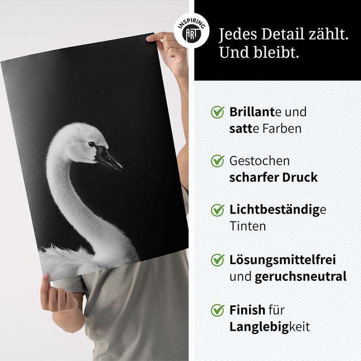 Poster: Tierporträt junger Schwan "Zaria" in Schwarz-Weiß