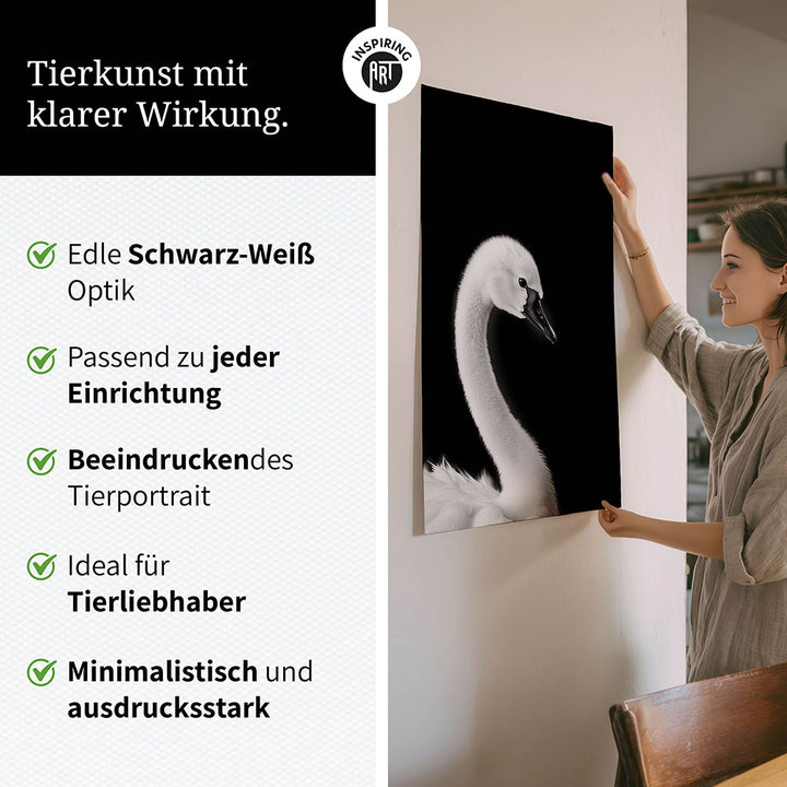 Poster: Tierporträt junger Schwan "Zaria" in Schwarz-Weiß
