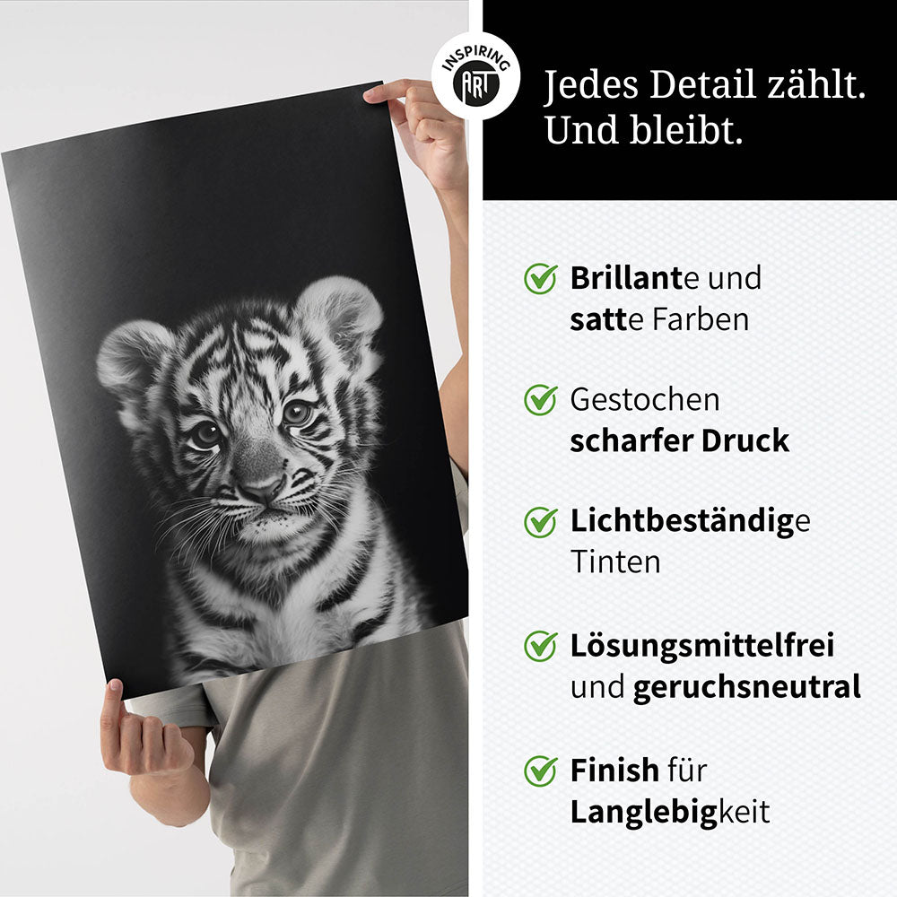 Poster: Tierporträt junger Tiger "Zuko" in Schwarz-Weiß