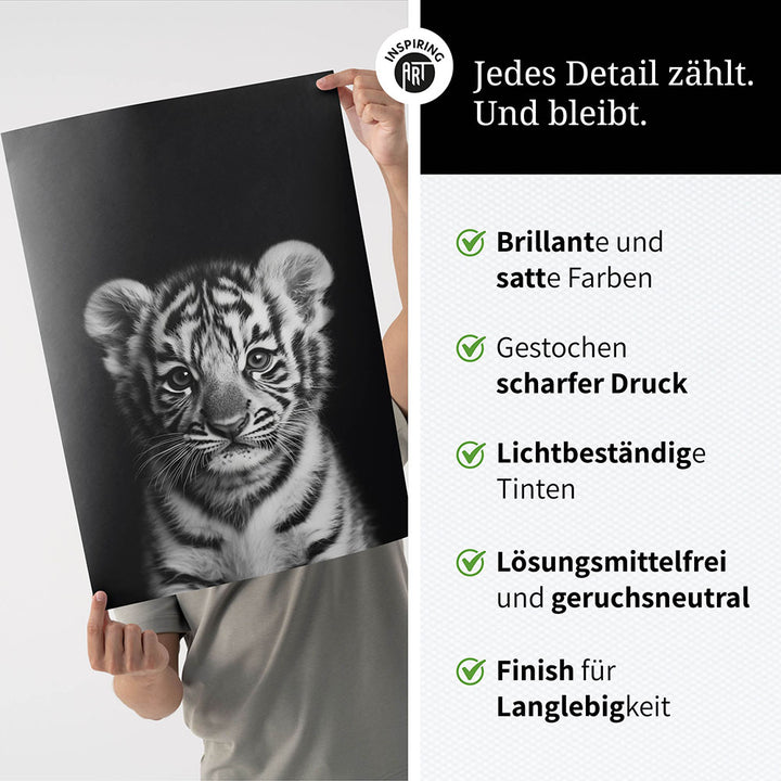 Poster: Tierporträt junger Tiger "Zuko" in Schwarz-Weiß