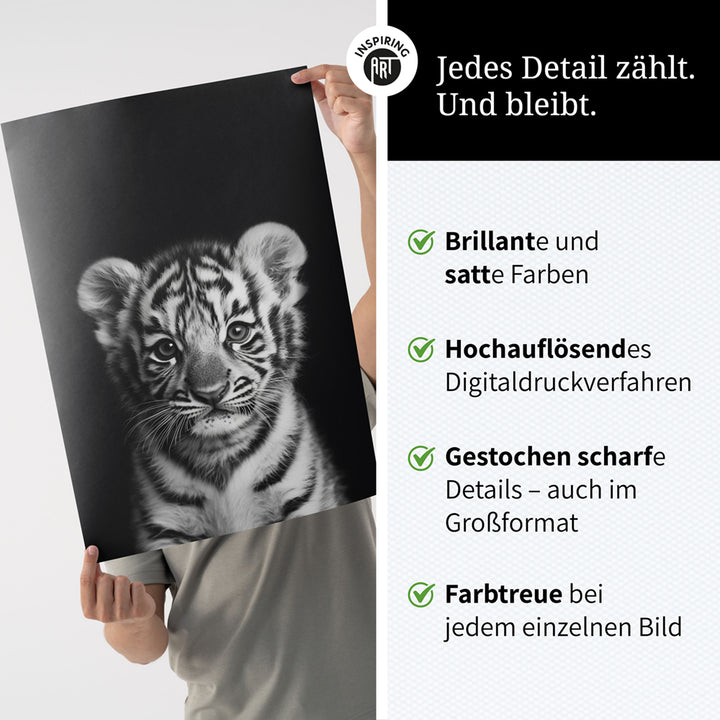 Poster: Tierporträt junger Tiger "Zuko" in Schwarz-Weiß