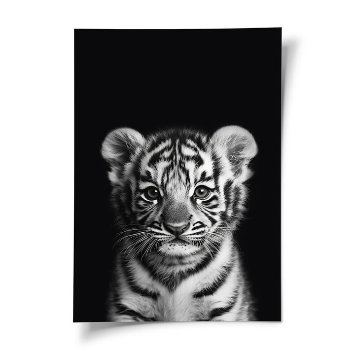 Poster Tigerbaby Schwarz Weiß