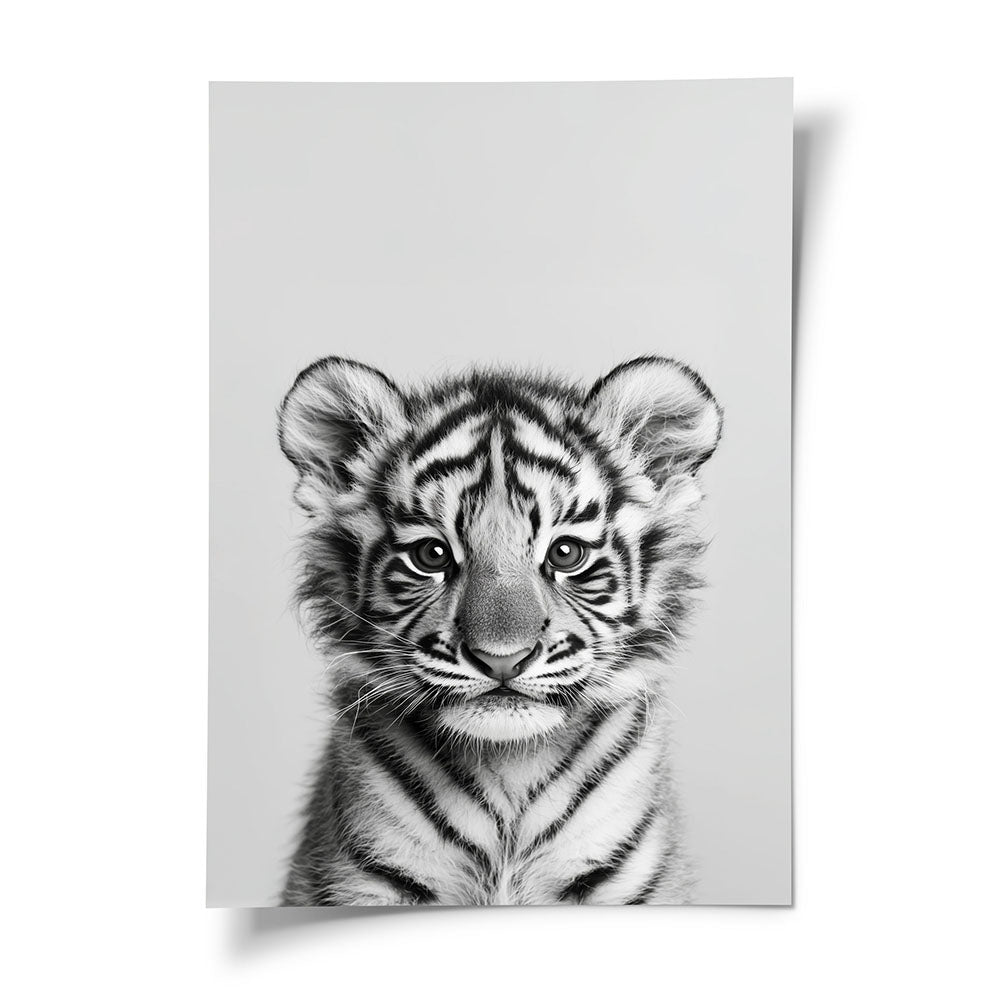 Poster  Tiger Schwarz Weiß