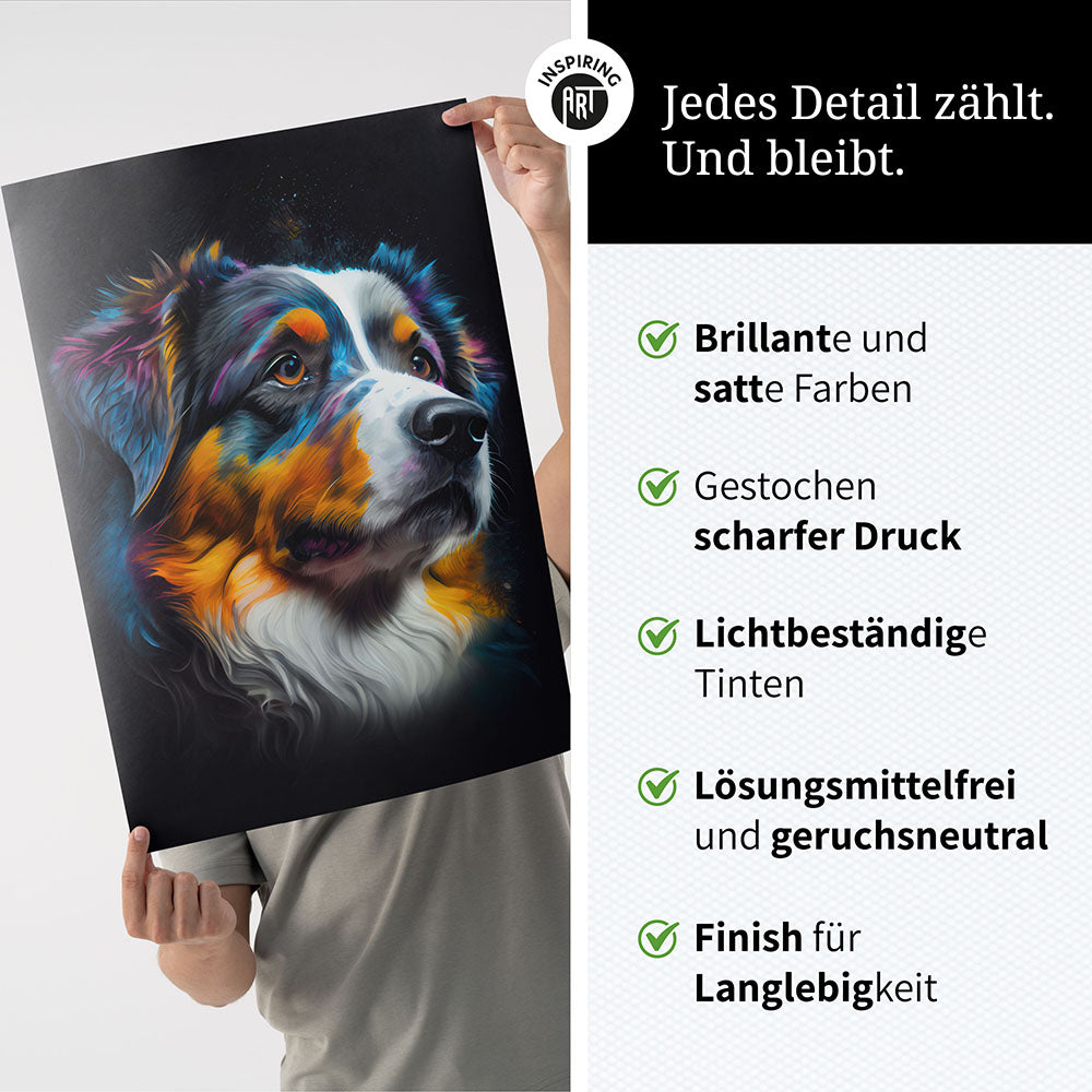 Australian Shepherd Wandbild