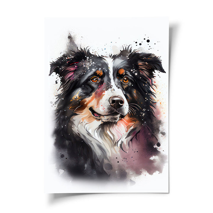 Poster Hund Australian Shepherd