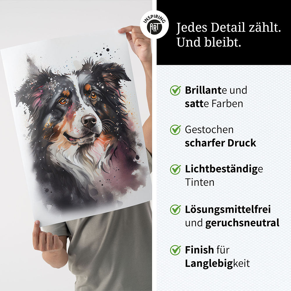 Australian Shepherd Wandbild