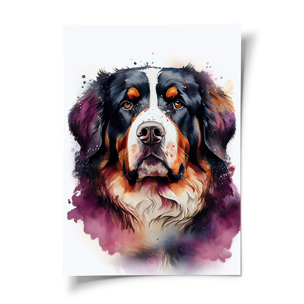 Poster Hund Berner Sennenhund