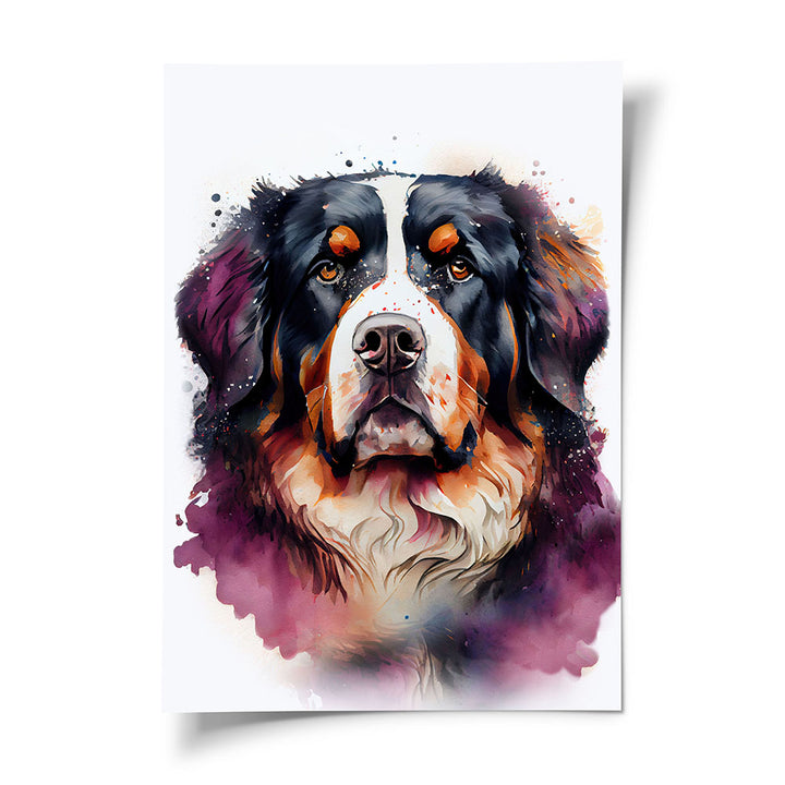 Poster Hund Berner Sennenhund
