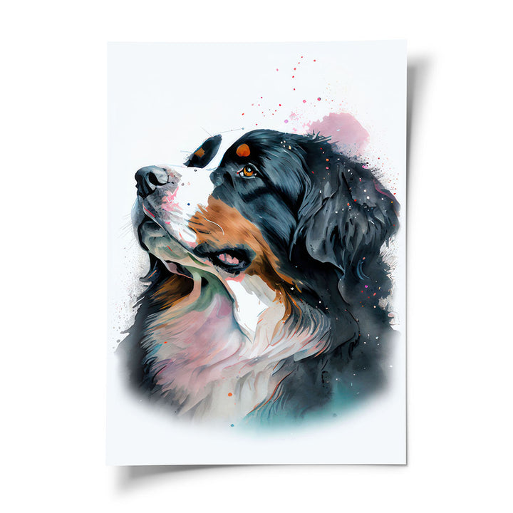 Poster Hund Berner Sennenhund