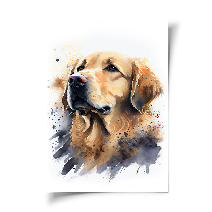 Poster Hund Golden Retriever
