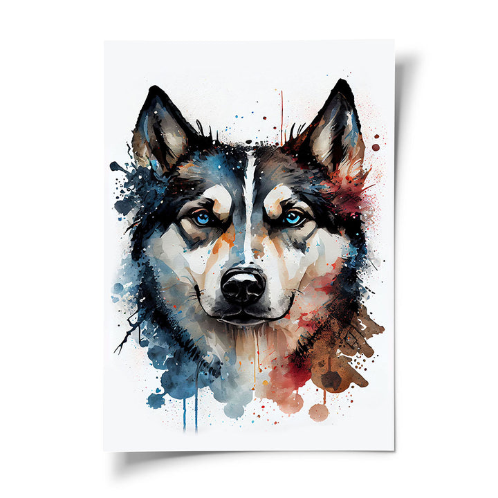 Hund Poster Husky