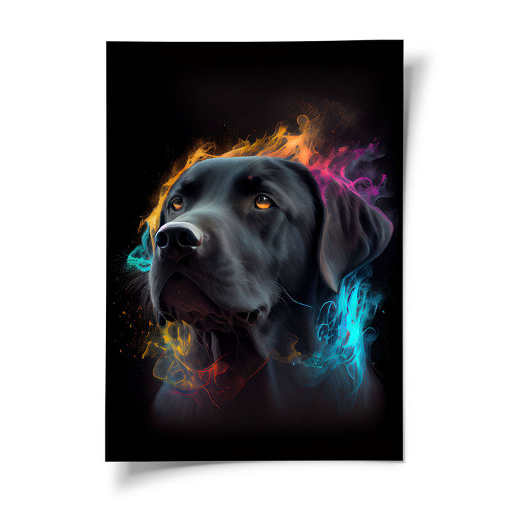Hundeposter Labrador