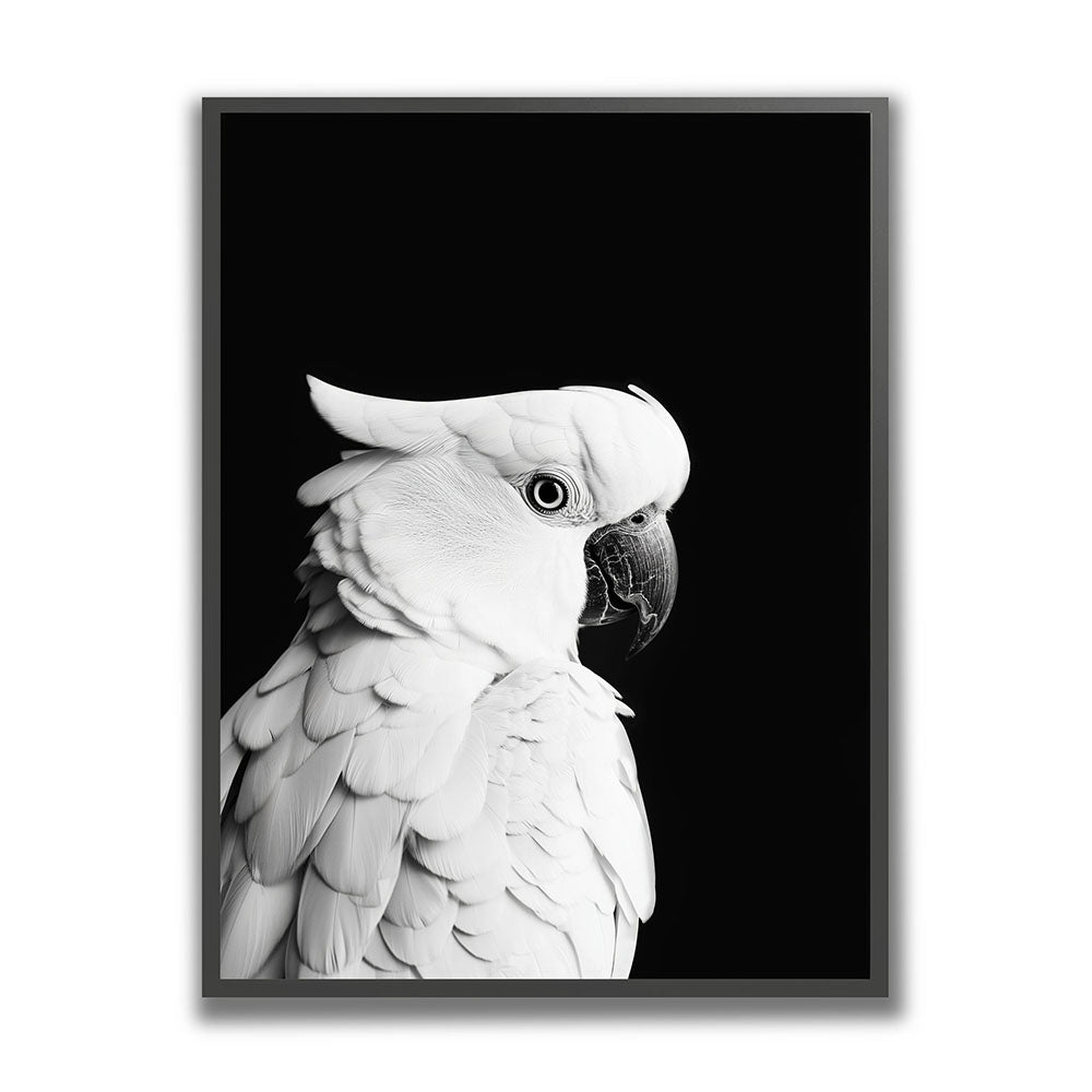 Poster mit Rahmen Papagei Schwarz Weiß