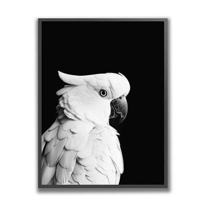 Poster mit Rahmen Papagei Schwarz Weiß