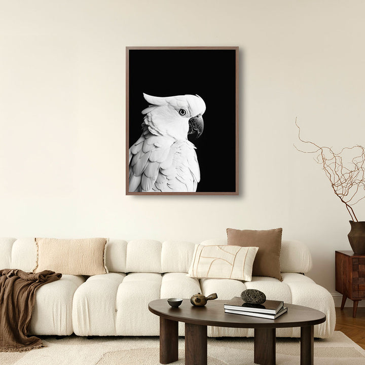 Poster: Tierporträt Papagei "Rio" in Schwarz-Weiß