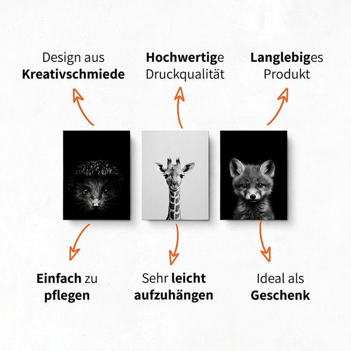 Leinwandbild: Tierporträt Katze "Nova" in Schwarz-Weiß