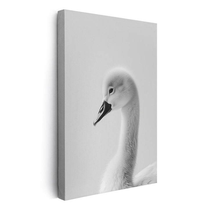 Leinwandbild Schwan Schwarz Weiß