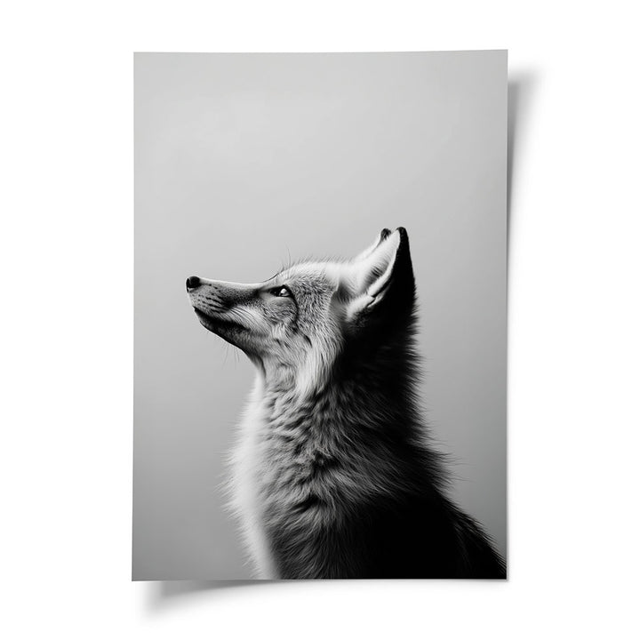 Poster Tierposter Fuchs Schwarz Weiß