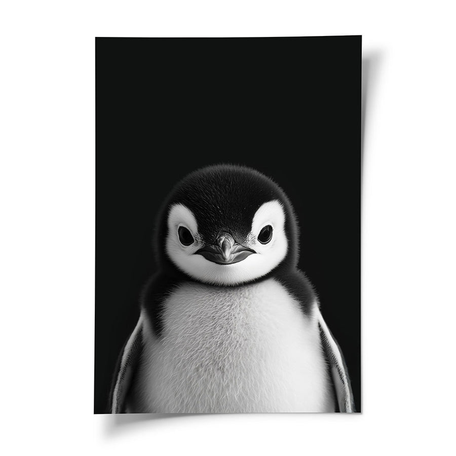 Poster Tierposter Pinguinbaby Schwarz Weiß